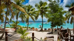 Jost van Dyke beach BVI_DSC6812