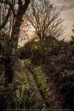 Broxhead Common path DSC_1391