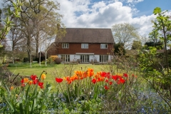 English Cottage Garden DSC_1801