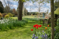 English Cottage Garden with Bench DSC_1806